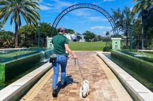 Human-Centric Dog Training With Applause Your Paws: Improving Relationships Between Owners and Pets
